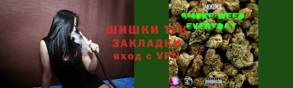 крисы Абдулино