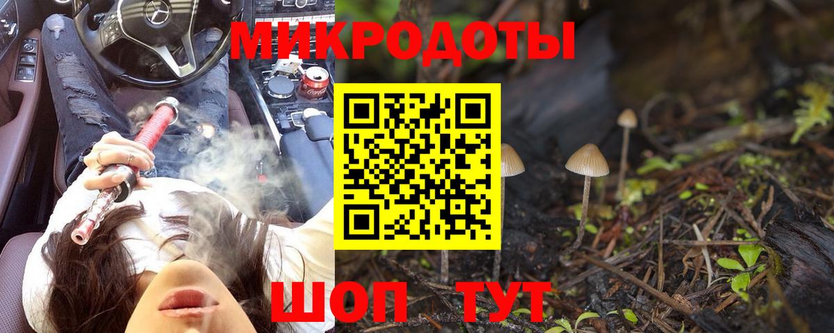 Галлюциногенные грибы Psilocybe Соликамск